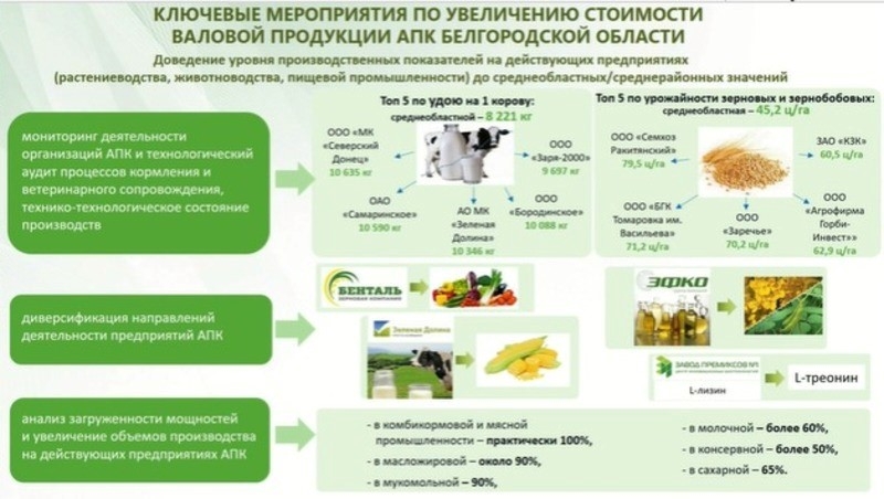 Показатели производства продукции агропромышленного комплекса в Белгородской области достигли 848 млрд рублей