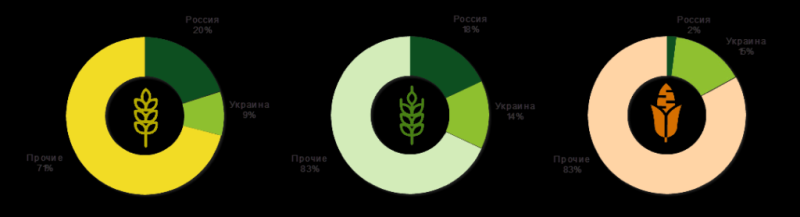 Сколько зерна сможет продать Украина