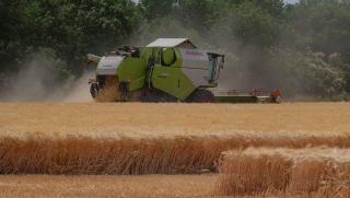 Урожай в Ставропольском крае: убрано более 102 000 га