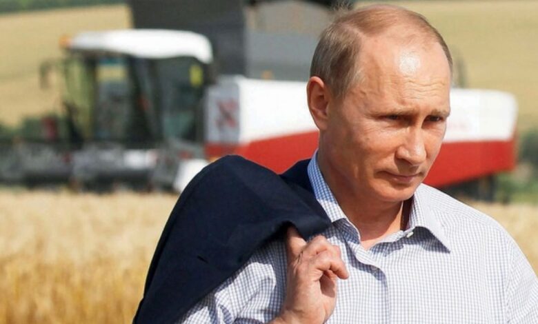 Фермеры России обратились к Путину из-за обвала зерновых цен