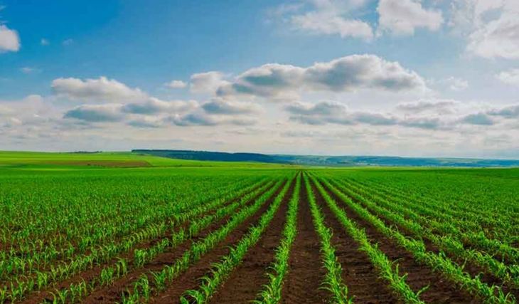 Банкиры выделяют африканским странам миллионные кредиты для наращивания производства зерновых