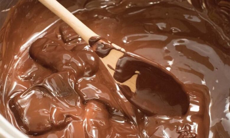 Компания Fazer приступила к исследованиям в области создания клеточного какао