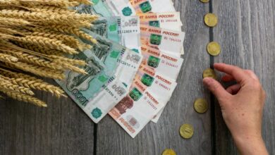 Правительство РФ снизило до 5% ставку по льготным кредитам для сельхозпроизводителей