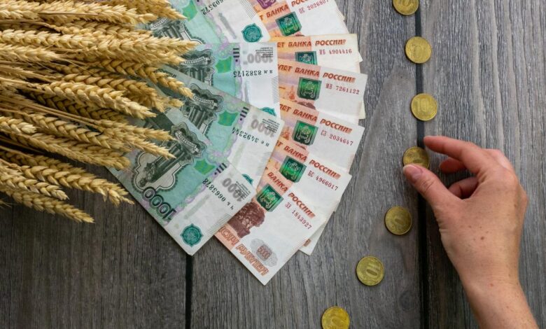 Правительство РФ снизило до 5% ставку по льготным кредитам для сельхозпроизводителей