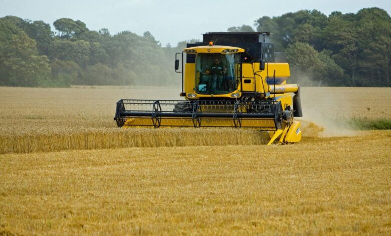 В Удмуртской Республике убрано 40% зерновых и зернобобовых культур