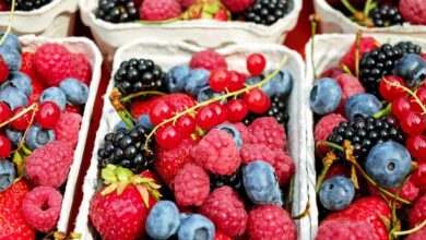За 7 лет урожайность ягод в России увеличилась на 14% — «Россельхозбанк»