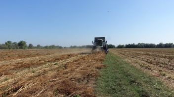 Крымские аграрии приступили к уборке семенников сахарной свеклы