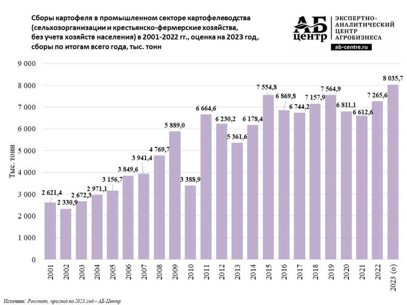 Производство картофеля в 2023 году может стать рекордным - Agrotrend.ru